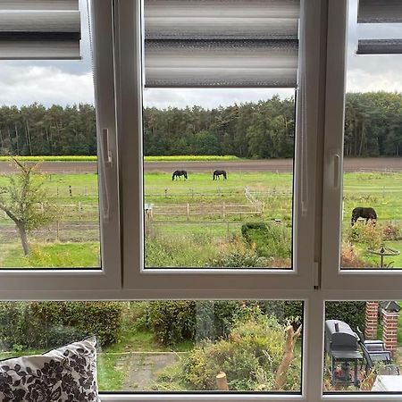 Wunderschoene Ferienwohnung Auf Dem Bauernhof Greven Esterno foto
