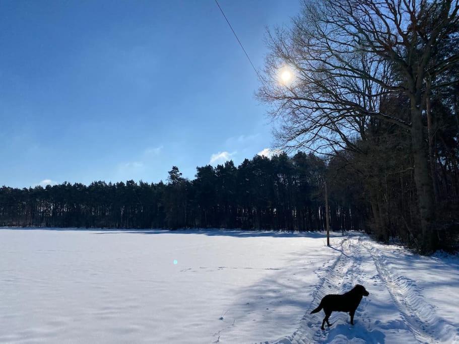 Wunderschoene Ferienwohnung Auf Dem Bauernhof Greven Esterno foto