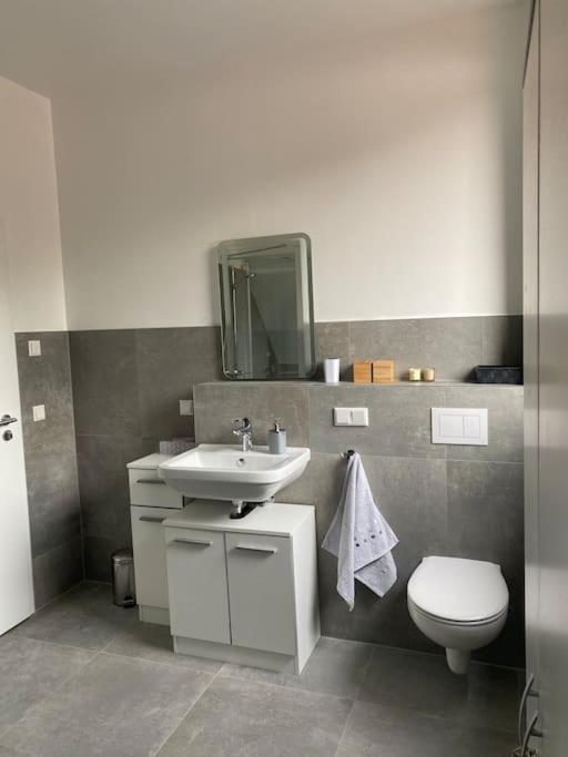 Wunderschoene Ferienwohnung Auf Dem Bauernhof Greven Esterno foto