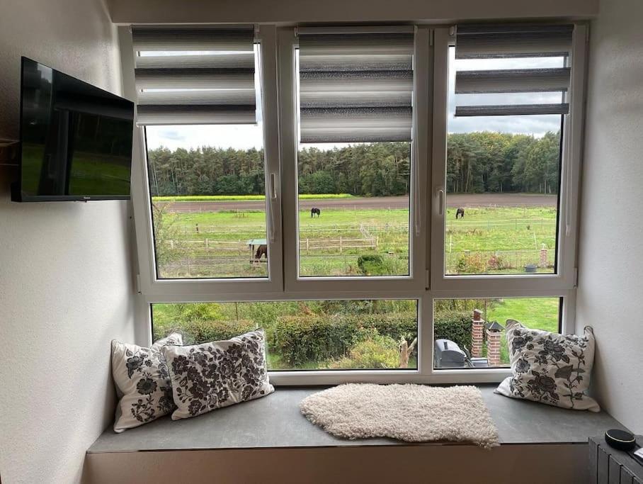Wunderschoene Ferienwohnung Auf Dem Bauernhof Greven Esterno foto